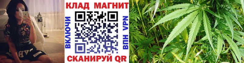 Купить закладку Alpha-PVP  Меф мяу мяу  Гашиш  Лениногорск