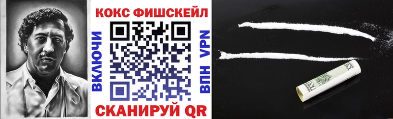 Купить закладки  Лениногорск  Cocaine Fish Scale 
