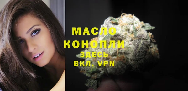 молекула духа Коряжма