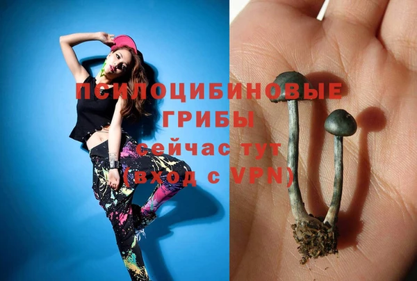 молекула духа Коряжма