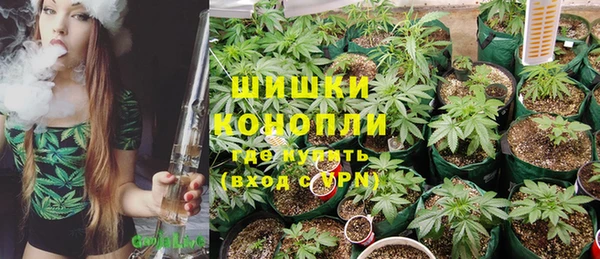 молекула духа Коряжма