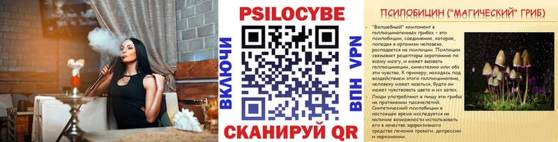 Псилоцибиновые грибы Psilocybe  Купить где  Лениногорск 